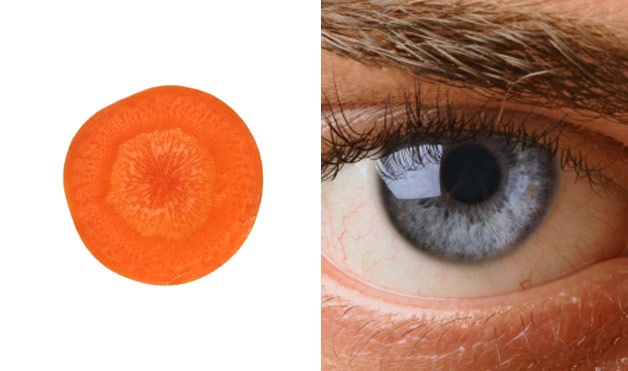 01-Carrot-Eye-Foods-That-Look-Like-Body-Parts-10