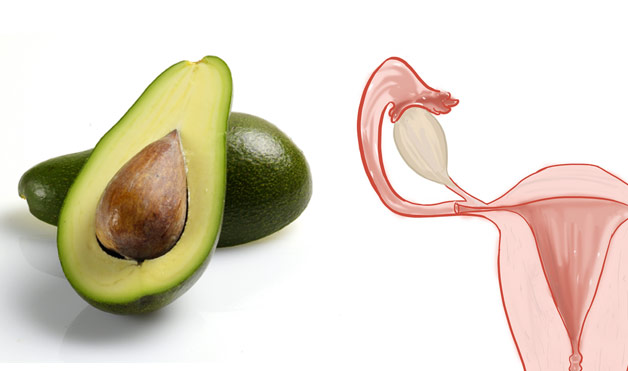 03-Avocados-UterusFoods-That-Look-Like-Body-Parts-1