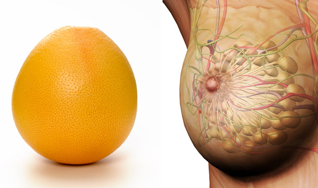 05-Grapefruit-BreastsFoods-That-Look-Like-Body-Parts-1