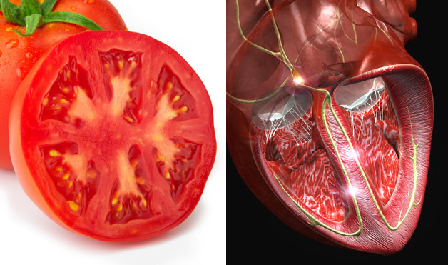 06-Tomato-HeartFoods-That-Look-Like-Body-Parts-1