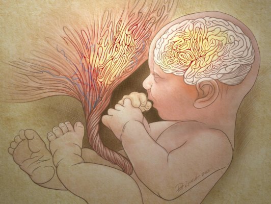 Test Can Help Determine Risk of Autism in Newborns