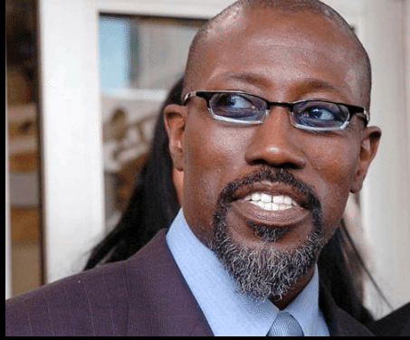 Wesley Snipes Released From Jail