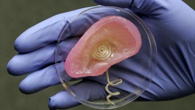 Scientists Create Bionic Ear More Powerful than Human Ear