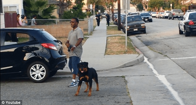 Cops Shoot and Kill Dog who Lunged at Officers when Owner was being Arrested for FILMING Them