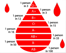 5 Things You Need to Know About Your Blood Type