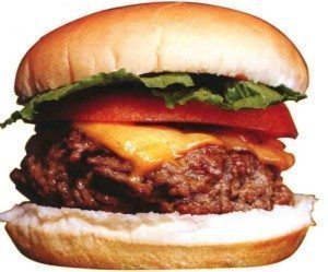 hamburger pic