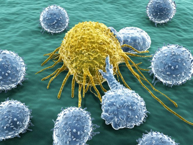 Cancer-cell