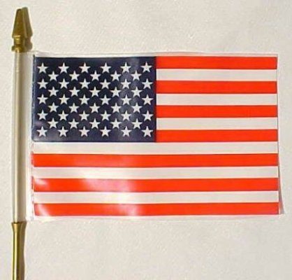 Virginia Legislature Prohibits American Flags on Sticks – Allows Guns