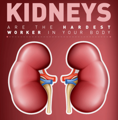 8 Common Habits That May Damage Your Kidneys