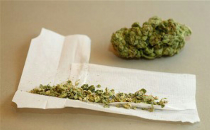 Report – Casual Marijuana Use Has Negative Effects on The Brain
