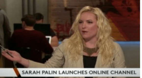 Meghan McCain – “I got all the Sarah Palin I need for one time” – Video