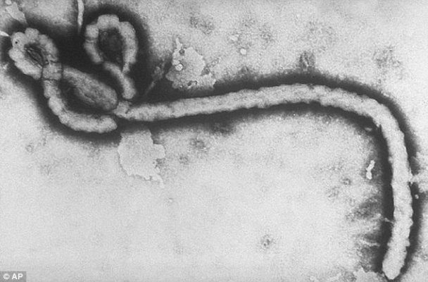 Breaking – First Confirmed Case of Ebola Now in America