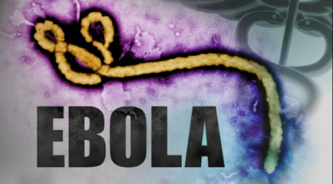 Hospital Worker in Texas Tests Positive for Ebola