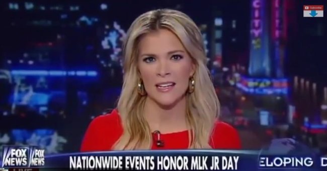 Dinesh D’Souza Gets Slammed By Fox’s Megyn Kelly for Attacking Obama – Video