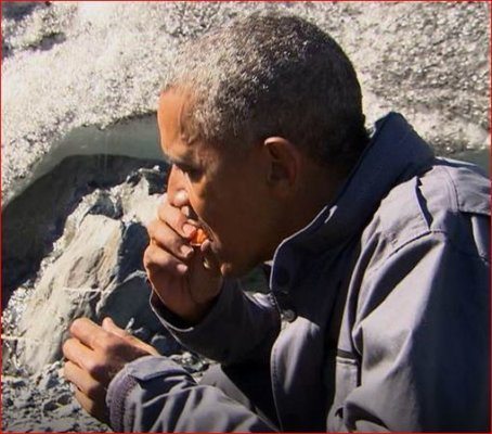 President Obama Eating Leftover Salmon from a Bear – Video