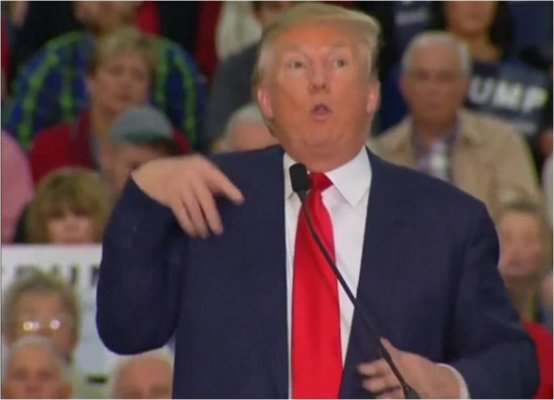 Republican Leader Donald Trump Mocks Disabled NY Times Reporter – Video