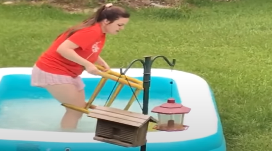What happens when a Woman try to save a Squirrel in backyard pool – Video