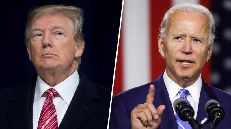 Poll: More Americans “Happier” with Trump’s Lost than Biden Win