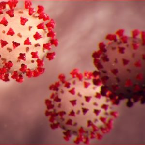 Coronavirus Deaths in The US Surpasses 800,000