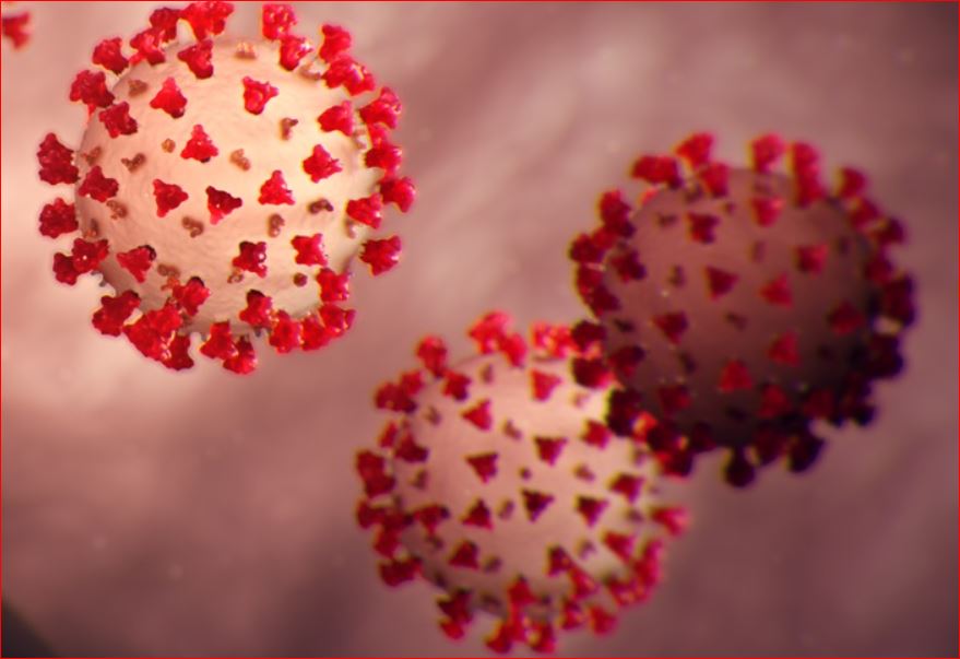 Coronavirus Deaths in The US Surpasses 800,000